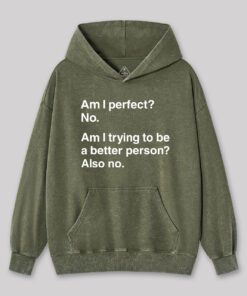 Am I Perfect No Geek Washed Hoodie