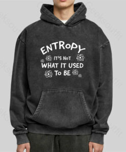 Entropy Its Not What Used To Be Washed Hoodie