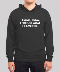 I Came I Saw Hoodie