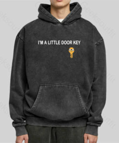 I’m A Little Door key Washed Hoodie
