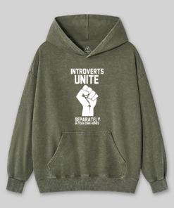 Introverts Unite Geek Washed Hoodie