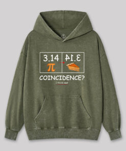 Pi Pie Math Professor Washed Hoodie