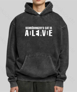 Schrdinger’s Cat ADLEIAVDE Washed Hoodie