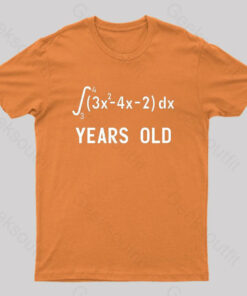 21 Years Old Funny Integral Calculus Nerd T-Shirt