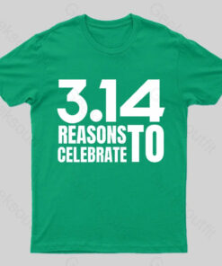 3.14 Reasons To Celebrate Nerd T-Shirt