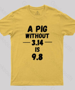 A PIG Without 3.14 is 9.8 G T-Shirt
