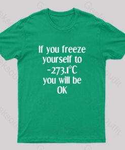 Absolute Zero Humor 0 Kelvins Geek T-Shirt