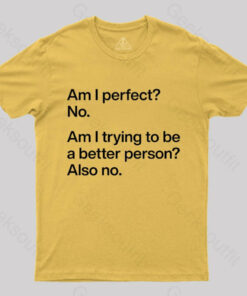 Am I Perfect No Geek T-Shirt