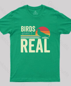 Birds Aren’t Real Funny Saying Vintage Sunset T-Shirt