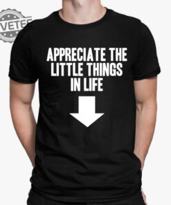 Appreciate The Little Things In Life Shirt Appreciate The Little Things In Life Hoodie Sweatshirt Long Sleeve Shirt Unique