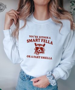 Are You A Smart Fella Or Fart Smella Retro Cartoon Sweatshirt Weird Sweatshirt Meme Sweatshirt Trash Panda Sweatshirt Unisex Unique
