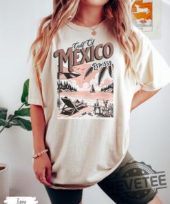 Gulf Of Mexico Patriotic Unisex T Shirt American Quote