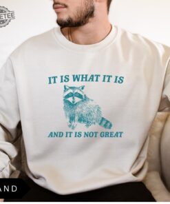 It Is What It Is And It Is Not Great Sweatshirt Meme Sweatshirt Vintage Sweatshirt Raccoon Sweatshirt Unique
