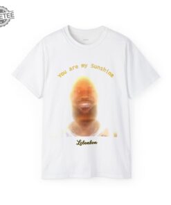 Lebonbon Meme Tshirt You Are My Sunshine Tshirt Lebron James Meme Tee Unique