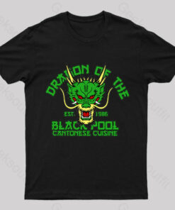 Dragon of The Black Pool Geek T-Shirt
