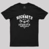 Hogwarts Quidditch Geek T-Shirt