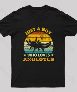 Just A Boy Who Loves Axolotls Geek T-Shirt