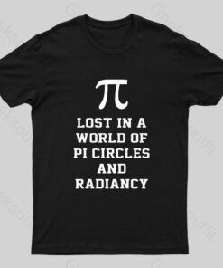 Lost In A World Of Pi Geek T-Shirt