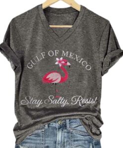Flamingo Gulf Of Mexico Stay Salty Resist Printed V Neck T Shirt 2