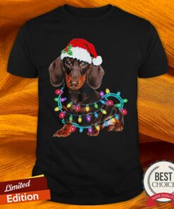 Dachshund Merry Christmas Shirt