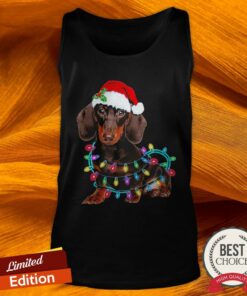 Dachshund Merry Christmas Shirt