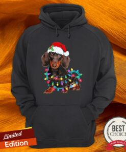 Dachshund Merry Christmas Shirt 3 Dachshund Merry Christmas Shirt 4