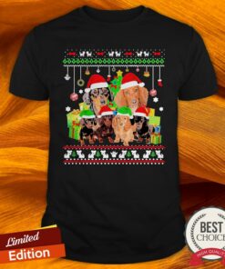 Dachshunds Merry Christmas Shirt