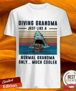 Diving Grandma Just Like A Normal Grandma Only Much Cooler Scuba Diving Vintage Shirt