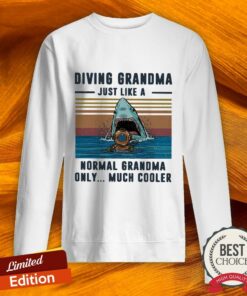 Diving Grandma Just Like A Normal Grandma Only Much Cooler Scuba Diving Vintage Shirt