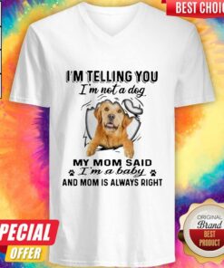 Golden Retriever I’m Telling You I’m Not A Dog My Mom Said I’m A Baby And Mom Is Always Right Shirt 4 Golden Retriever I'm Telling You I'm Not A Dog My Mom Said I'm A Baby And Mom Is Always Right Shirt 5