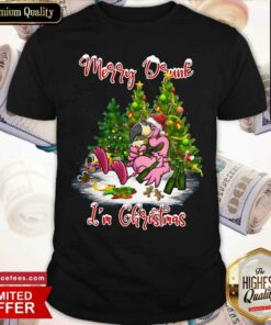 Hot Flamingo Santa Merry Drunk I’m Christmas Shirt