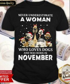 Nice Never Underestimate A Woman Who Loves Dogs And Was Born In August Christmas Shirt