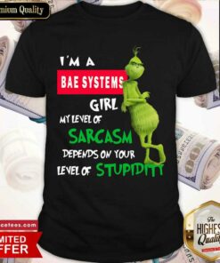 Official Grinch I’m A Bae Systems Girl My Level Of Sarcasm Depends On Your Level Of Stupidity Christmas Shirt