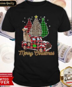 Top Santa Dog Merry Christmas Tree Shirt
