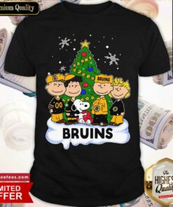 Top Snoopy The Peanuts Boston Bruins Christmas Shirt