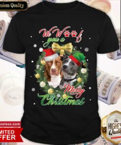 We Were You A Merry Christmas Pitbull Dog Funny Sweat Shirt